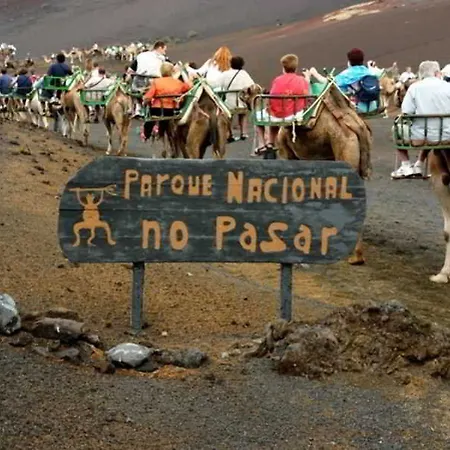 Islamar (adults Only) *