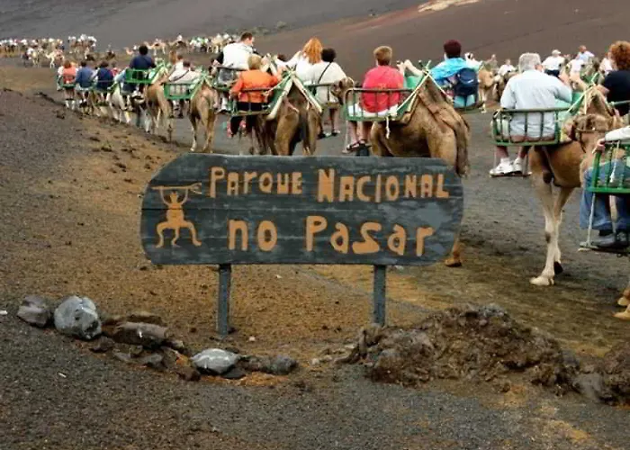 Islamar (adults Only) *